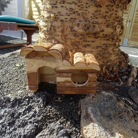 Mi Abeto Casa de Férias Tías