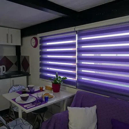 Nyaraló Mi Abeto Tías