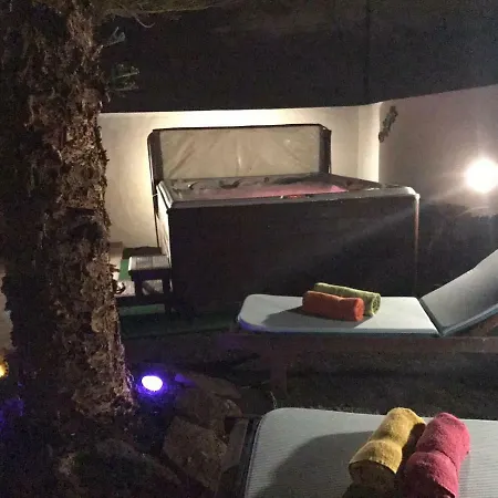 Mi Abeto Tías