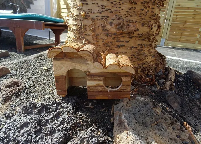 Mi Abeto Nyaraló Tías